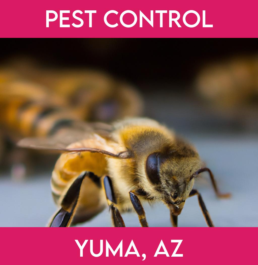 pest control in Yuma Arizona