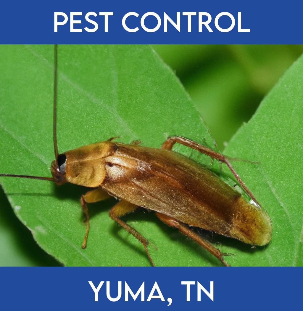 pest control in Yuma Tennessee