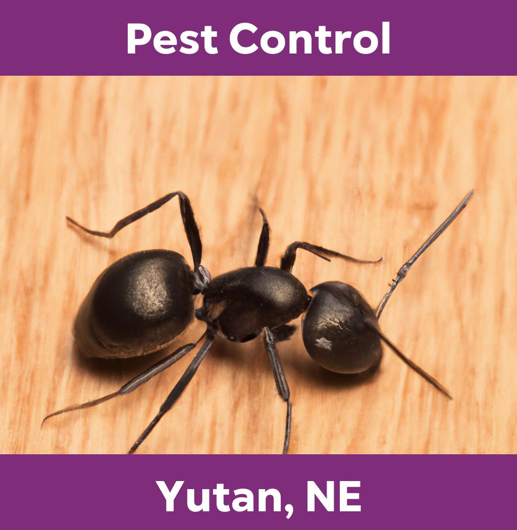 pest control in Yutan Nebraska