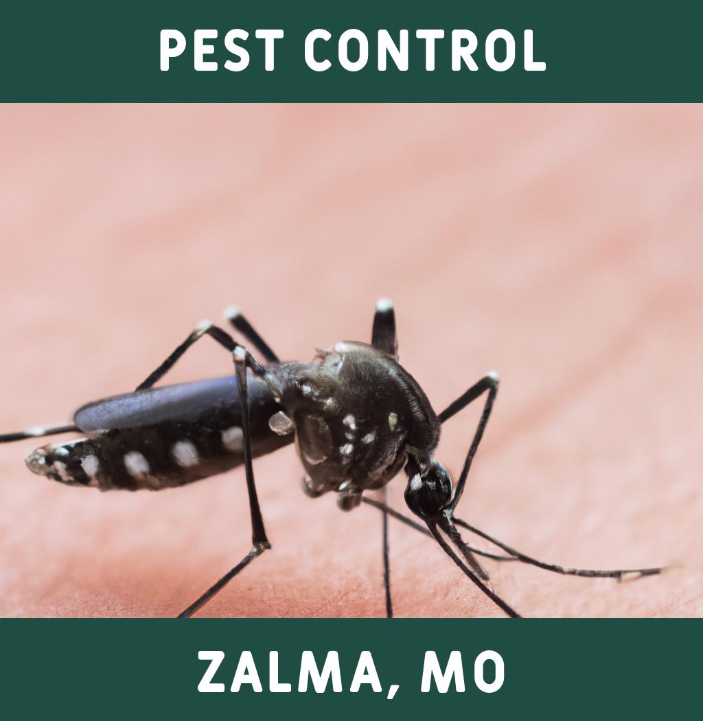 pest control in Zalma Missouri