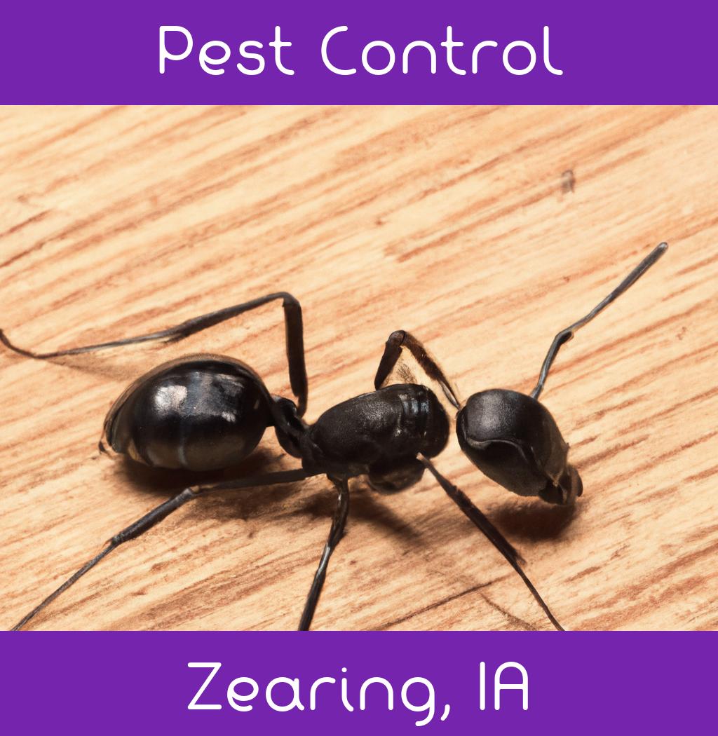 pest control in Zearing Iowa