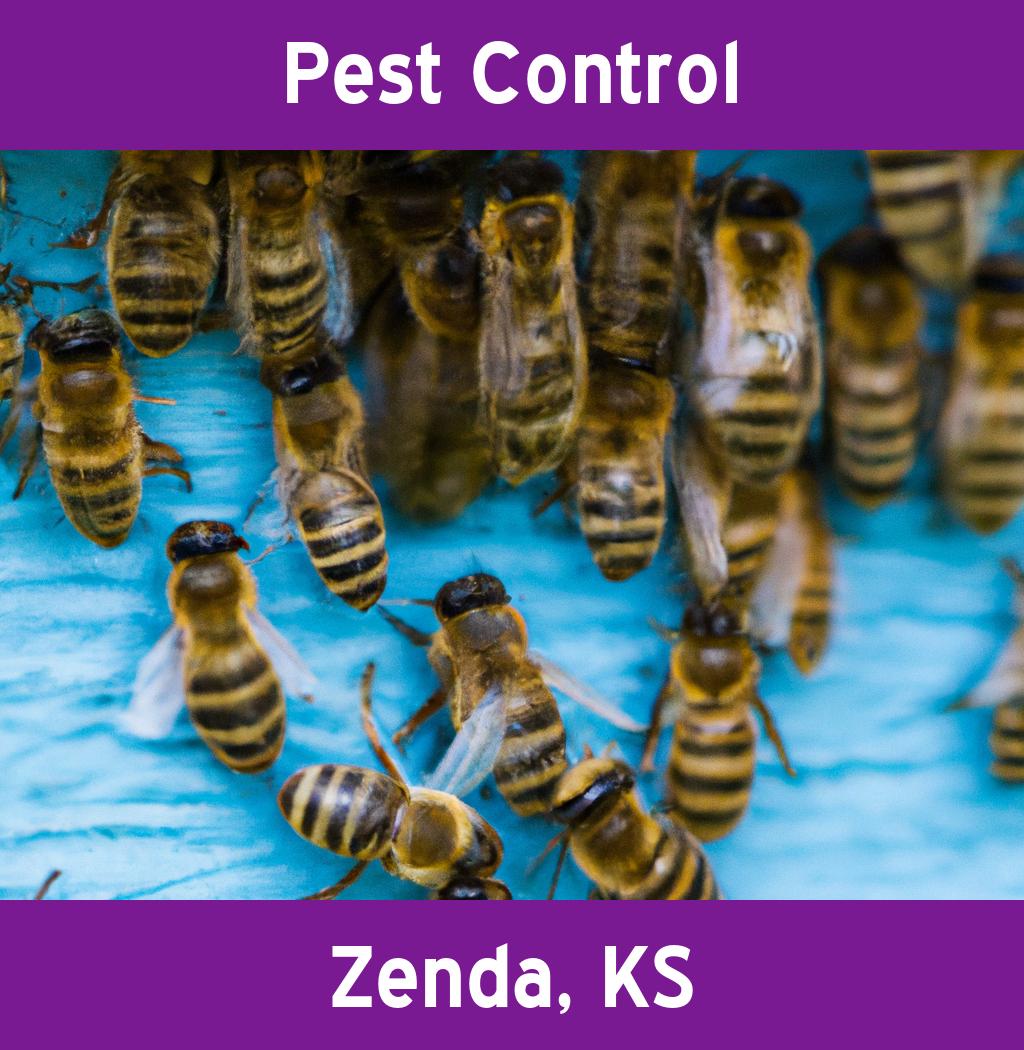 pest control in Zenda Kansas