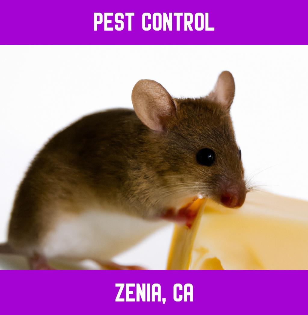 pest control in Zenia California