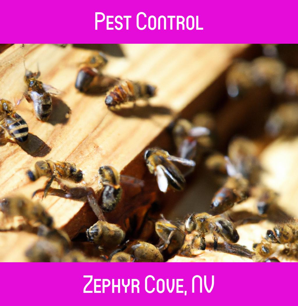 pest control in Zephyr Cove Nevada