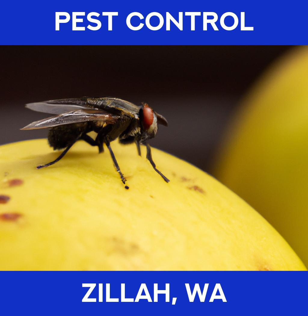 pest control in Zillah Washington