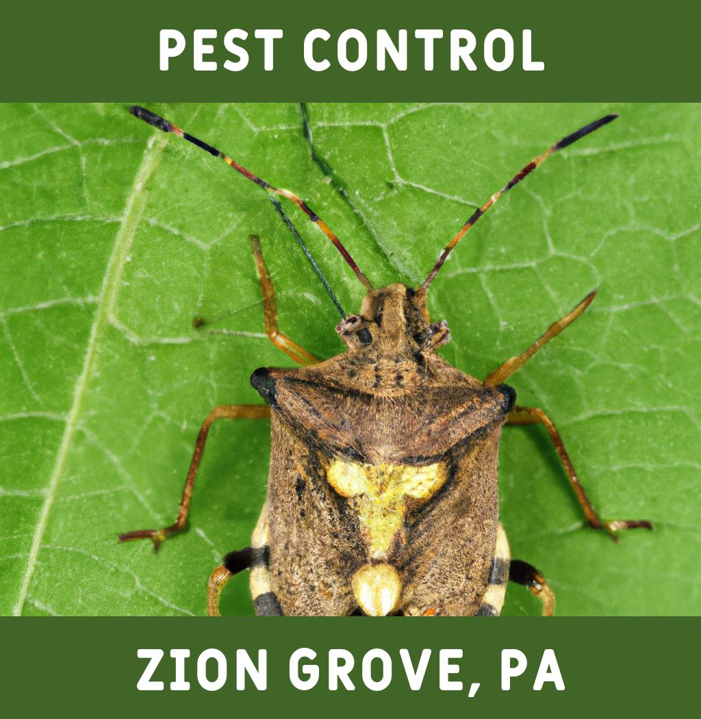 pest control in Zion Grove Pennsylvania