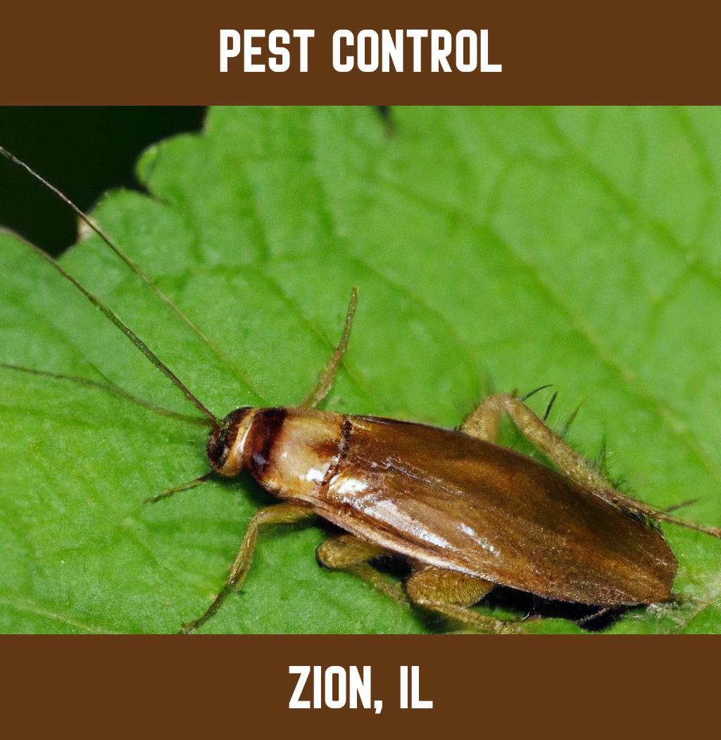 pest control in Zion Illinois