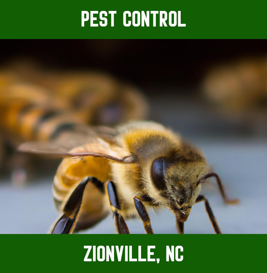 pest control in Zionville North Carolina