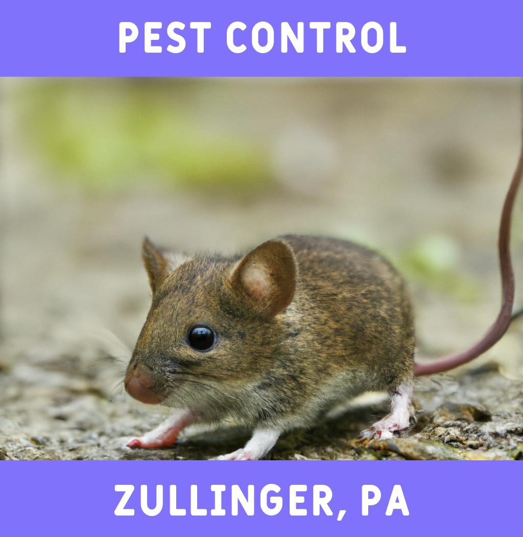 pest control in Zullinger Pennsylvania