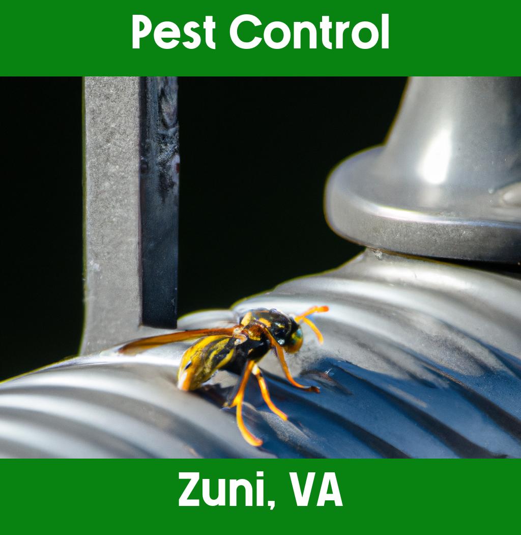pest control in Zuni Virginia