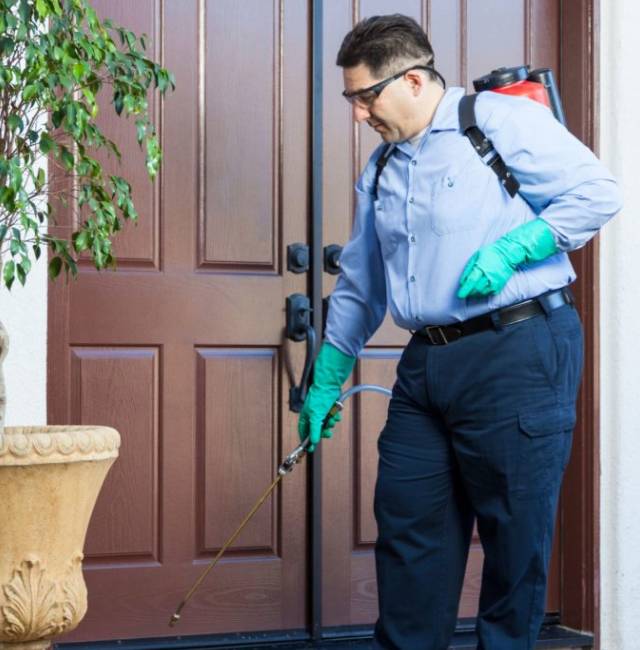 Pest Control Near Me 8882510826